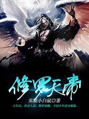 修罗天帝封面
