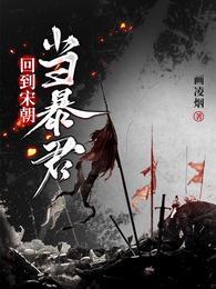 大宋勇武赵宁郭京岳飞封面