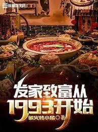 发家致富从1993开始封面