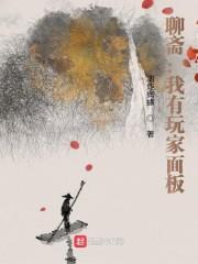 聊斋：我有玩家面板封面
