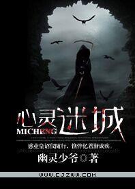 心灵迷城封面