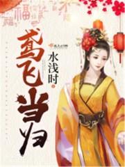 鸢飞当归封面