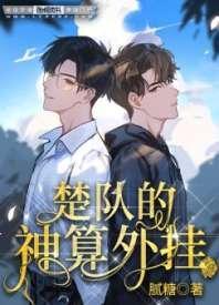 楚队的神算外挂封面