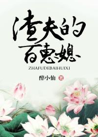 渣夫的百惠媳封面
