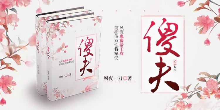 傻夫封面