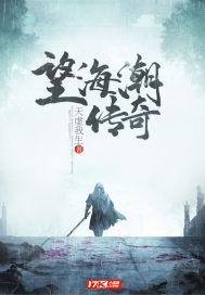 近望海潮封面