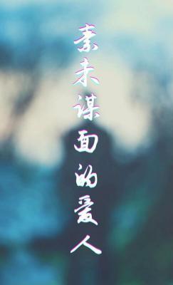 素未谋面的爱人封面