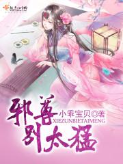 帝少别太猛封面