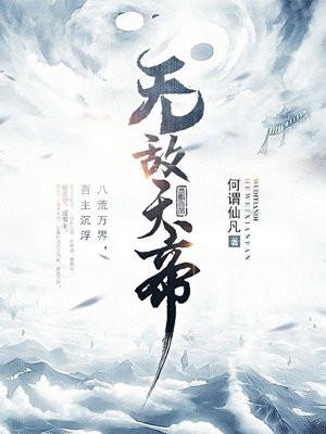 无敌天帝封面