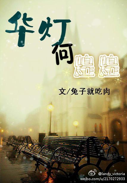 华灯何煌煌封面