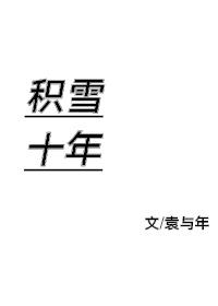 积雪十年封面