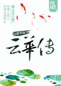 仙履奇缘之云华传封面