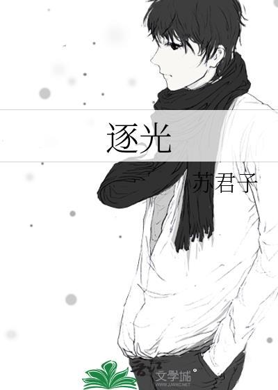 逐光封面