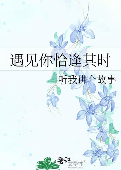 遇见你恰逢其时封面