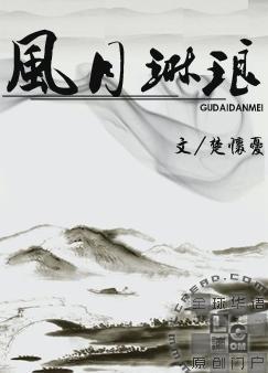 风月琳琅封面