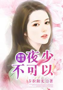 夜少你老婆又调皮了封面