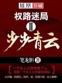 权路迷局：步步青云封面