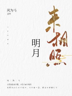 明月来相照封面