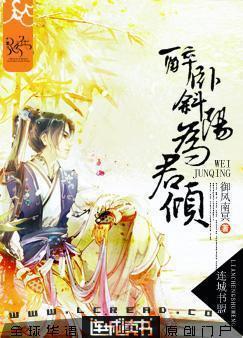 醉卧斜阳为君倾封面