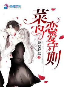 菜鸟恋爱守则封面