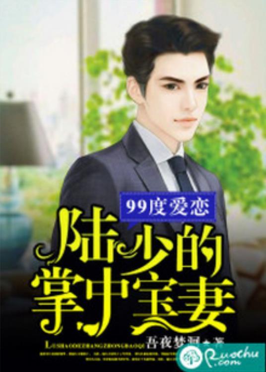 99度爱恋︰陆少的掌中宝妻封面