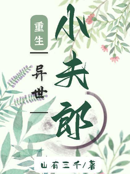 重生异世小夫郎封面
