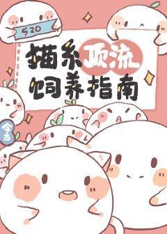 猫系顶流饲养指南封面