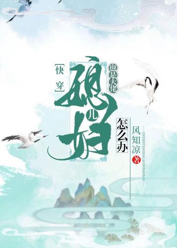 媳妇儿也是大佬怎么办[快穿]封面