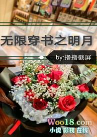 无限穿书之明月封面