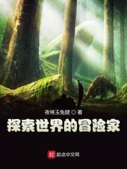 探索世界的冒险家封面