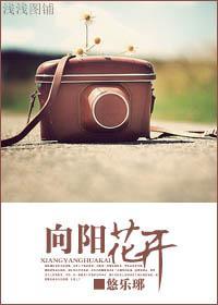 向阳花开封面