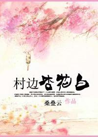 村边杏花白封面