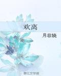欢离封面