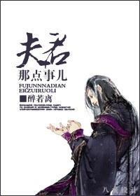 夫君那点事儿封面