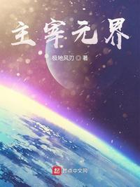 主宰元界封面