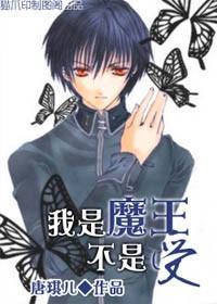 我是魔王不是受（腹黑魔王）封面