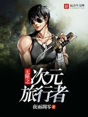 无限之次元旅行者封面