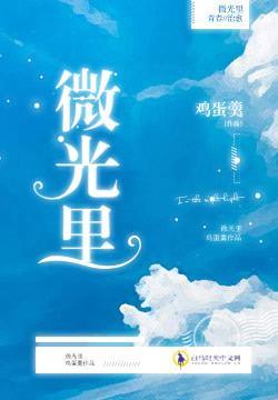 微光裏封面