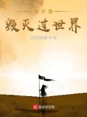 我好像毁灭过世界封面