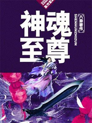 神魂至尊封面