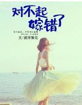 对不起，嫁错了封面