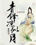 青锋凉似月封面