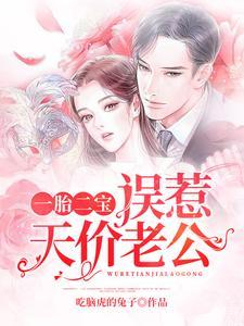 一胎二宝：误惹天价老公封面