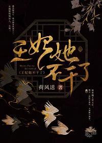 王妃她不干了封面