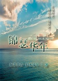 锦瑟华年封面