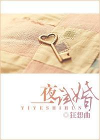 一夜试婚封面