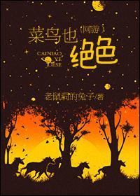 菜鸟也绝色封面
