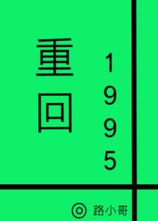 重回1995封面