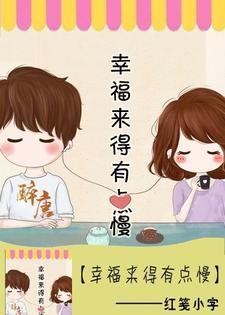 幸福来得有点慢封面