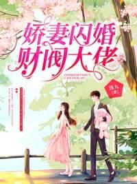 娇妻闪婚财阀大佬封面